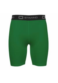 STANNO - Szorty Stanno Centro. Kolor: zielony. Długość: krótkie. Sezon: zima, lato #1
