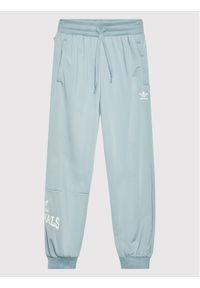 Adidas - adidas Spodnie dresowe Graphic Print HL6883 Niebieski Relaxed Fit. Kolor: niebieski. Materiał: syntetyk. Wzór: nadruk #1