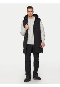 Halti Bezrękawnik Penger 065-0469 Czarny Relaxed Fit. Kolor: czarny. Materiał: syntetyk. Długość rękawa: bez rękawów