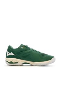 Dorosły Tenis Buty Mizuno Wave Exceed Light Cc, Zielone. Kolor: zielony. Model: Mizuno Wave. Sport: tenis