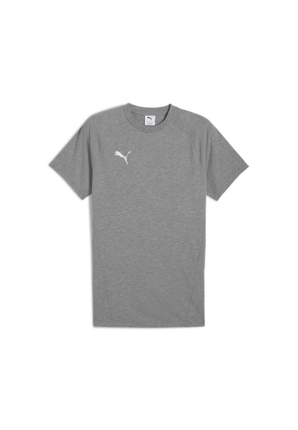 Koszulka Puma TeamEvostripe. Kolor: szary. Sport: piłka nożna