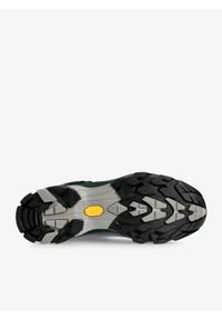 Buty trekkingowe damskie Zamberlan Vioz Lux GTX RR. Kolor: niebieski
