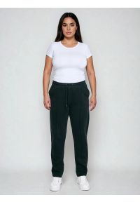 Big-Star - Spodnie damskie dresowe z przeszyciem czarne Pixelinap 906. Kolor: czarny. Materiał: dresówka. Styl: elegancki #10