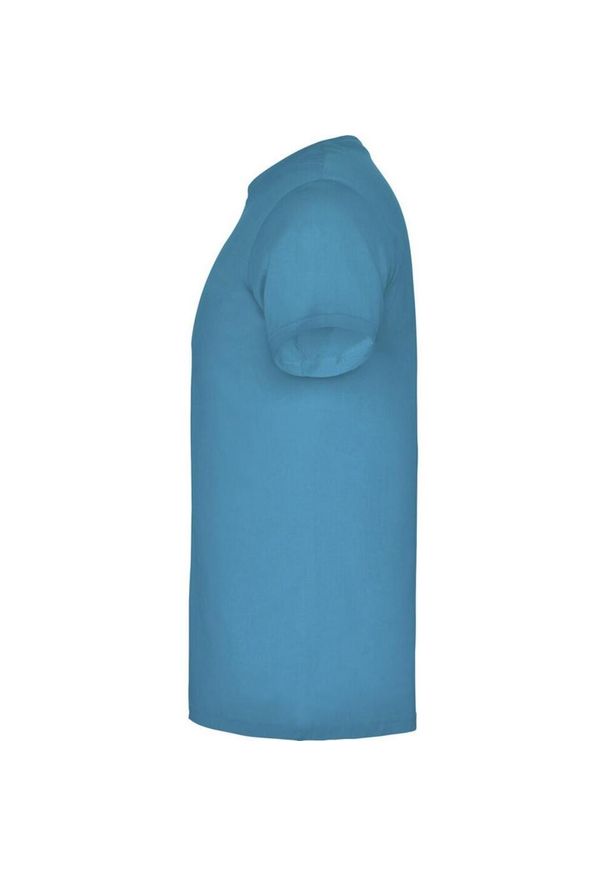 ROLY - Dziecięca Koszulka Z Krótkim Rękawem Beagle. Kolor: wielokolorowy, niebieski, szary. Długość rękawa: krótki rękaw. Długość: krótkie. Sport: turystyka piesza