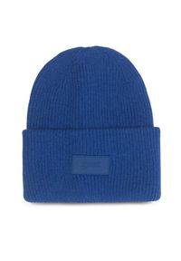 Sprandi Czapka OW3-003-AW23 Niebieski. Kolor: niebieski. Materiał: syntetyk