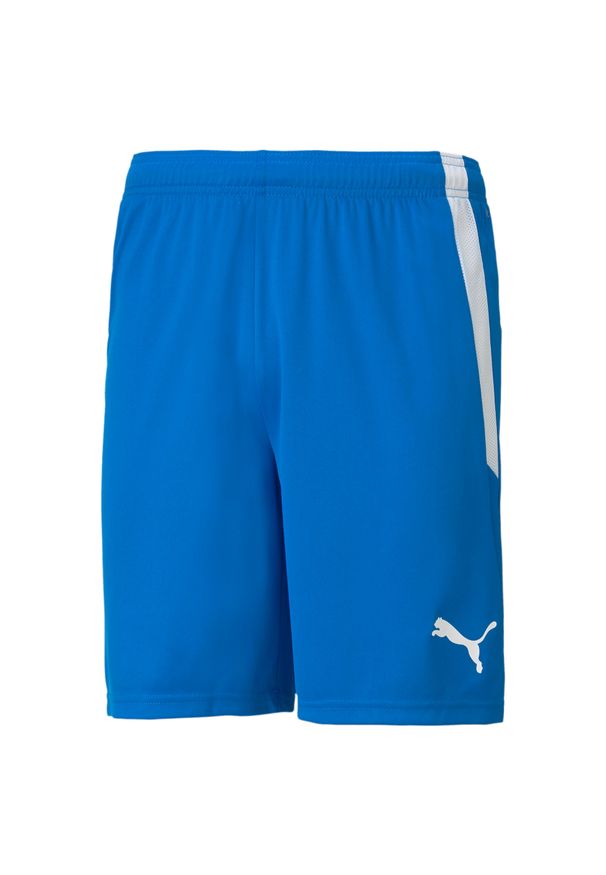 Puma - Spodenki piłkarskie męskie PUMA Teamliga. Kolor: niebieski, biały, wielokolorowy. Sport: piłka nożna