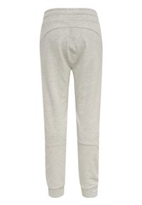 Spodnie dresowe dla dzieci Hummel Fast. Kolor: szary. Materiał: dresówka. Sport: joga i pilates
