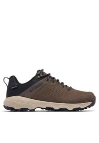 columbia - Columbia Trekkingi Newton Nimble™ LTR 2140371 Zielony. Kolor: zielony. Materiał: skóra. Sport: turystyka piesza