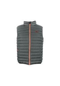 PEAK MOUNTAIN - Cienka kurtka puchowa bez rękawów Peak Mountain. Typ kołnierza: kołnierzyk stójkowy. Kolor: szary. Materiał: puch. Długość rękawa: bez rękawów. Sport: turystyka piesza #1