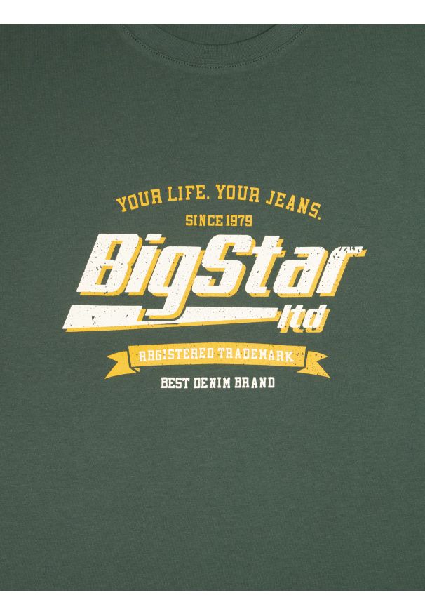 Big-Star - Koszulka męska z nadrukiem zielona Briss 304. Okazja: na co dzień. Kolor: zielony. Materiał: bawełna. Wzór: nadruk. Styl: klasyczny, vintage, casual