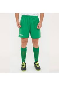 LEGEA - Szorty Legea Taipei Dorosłych. Kolor: zielony. Materiał: poliester. Długość: krótkie. Sezon: lato #1