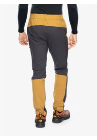 Spodnie trekkingowe męskie Helly Hansen Hovda Tur Pant. Kolor: brązowy