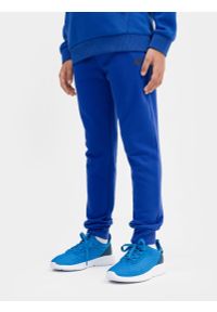 4f - Spodnie dresowe joggery chłopięce. Kolor: niebieski. Materiał: dresówka. Sezon: wiosna