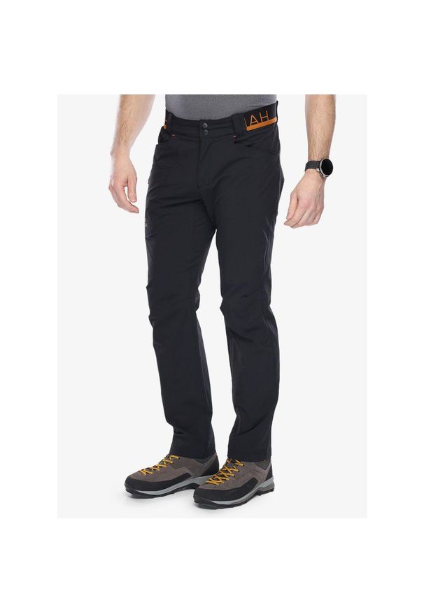 Spodnie turystyczne męskie Hannah Niguel II. Kolor: szary. Sezon: lato. Sport: turystyka piesza