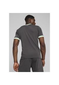 T-Shirt Puma AC Milan Replika Trzeciej Koszulki Dla Dorosłych. Kolor: zielony, wielokolorowy, szary