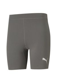 Puma - Spodnie Męskie Liga Base Layer. Kolor: szary