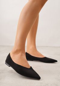 Born2be - Czarne Balerinki z Imitacji Zamszu z Noskiem w Szpic Egynome. Okazja: na co dzień, na spotkanie biznesowe, do pracy. Kolor: czarny. Materiał: zamsz. Styl: casual, biznesowy, elegancki #1