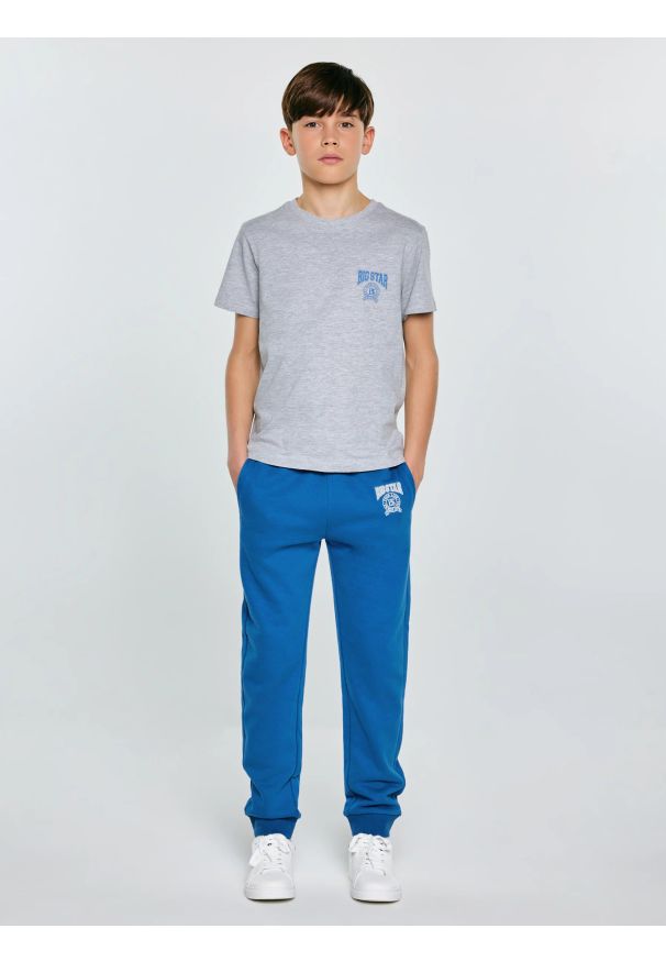 Big-Star - Koszulka chłopięca z nadrukiem szara Rafer 902. Kolor: szary. Materiał: dzianina, materiał, dresówka, skóra, jeans. Wzór: nadruk. Styl: sportowy, klasyczny, młodzieżowy