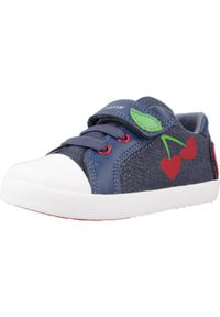 Buty dziecięce Geox Kilwi 21. Kolor: wielokolorowy, niebieski, czerwony. Sport: turystyka piesza #1