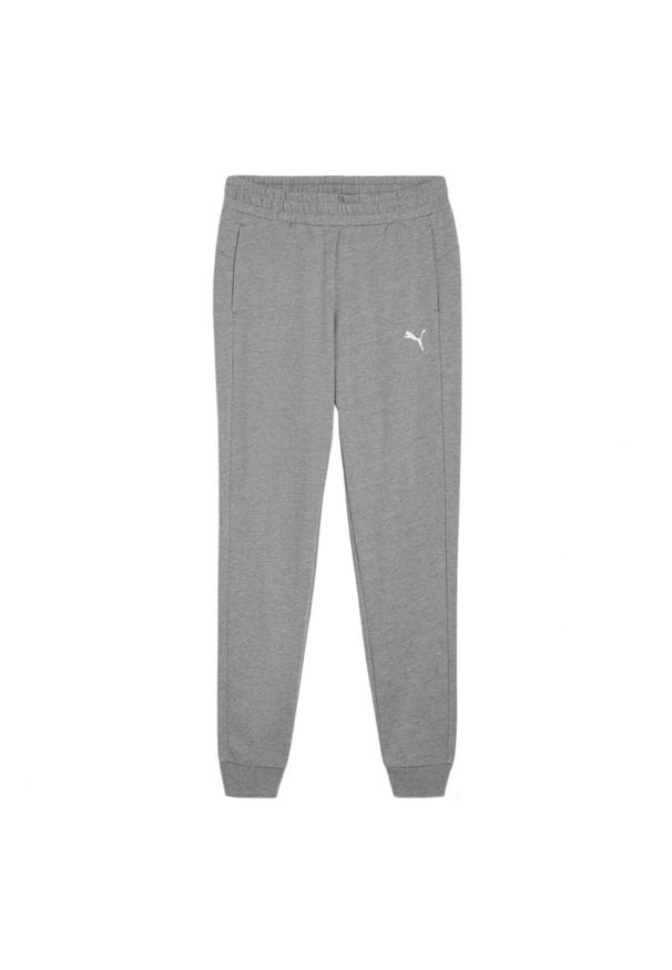 Puma - Damskie Spodnie Do Biegania Team Goal Casuals. Kolor: szary. Materiał: dresówka