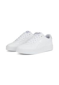 Puma Buty Skye Clean Distressed 38666602. Kolor: biały, wielokolorowy, szary. Sport: turystyka piesza