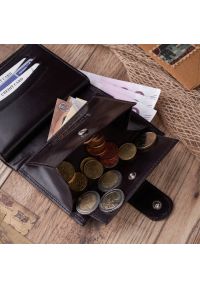 Portfel męski brązowy PAOLO PERUZZI T-14-BR. Kolor: brązowy. Materiał: skóra #1