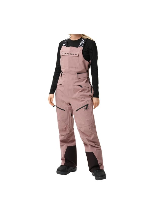 Spodnie narciarskie dla kobiet Colourwear W Transfer. Kolor: brązowy, beżowy, wielokolorowy. Sezon: zima. Sport: narciarstwo