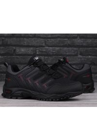 Buty męskie sportowe trekkingowe DK FOREST LOW. Kolor: czerwony, wielokolorowy, czarny, szary