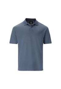Koszulka polo męska Whistler Vale. Typ kołnierza: polo. Kolor: niebieski