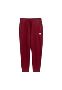 PITBULL - Spodnie męskie Pitbull Nugget Jogging. Kolor: czerwony. Długość: długie. Sport: bieganie #1