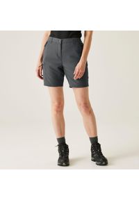 Regatta - Szorty damskie Chaska. Kolor: szary. Materiał: tkanina. Sport: turystyka piesza #1