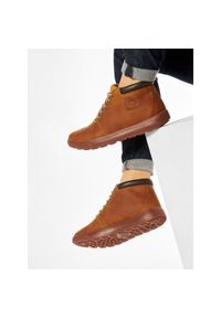 Trzewiki Timberland. Kolor: brązowy #1