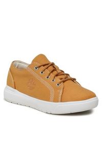 Timberland Sneakersy Seneca Bay TB0A5TDV7631 Brązowy. Kolor: brązowy