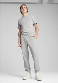 Puma - Męskie spodnie Essentials Elevated PUMA Light Gray Heather. Kolor: wielokolorowy, czarny, szary