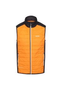 Kurtka puchowa bez rękawów Regatta Halton VII. Kolor: czarny, pomarańczowy, wielokolorowy. Materiał: puch. Długość rękawa: bez rękawów. Sezon: zima. Sport: turystyka piesza #1