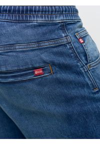 Big-Star - Szorty męskie jeansowe Parker 318. Kolor: niebieski. Materiał: jeans. Sezon: lato. Styl: klasyczny #3