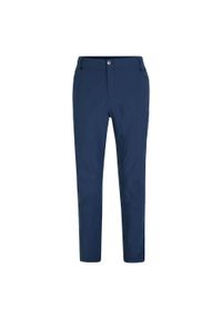 DARE 2B - Męskie Spodnie Trekkingowe Tuned In II. Kolor: szary, niebieski, wielokolorowy. Sezon: lato. Sport: turystyka piesza #1