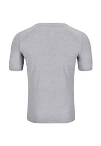 Koszulka biegowa męska Odlo X-Alp PW 115 T-Shirt Crew Neck. Kolor: szary