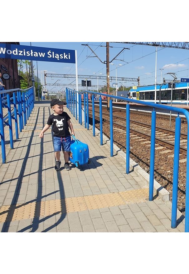 Nickelodeon Psi Patrol na kółkach - niebieska duża. Kolor: niebieski. Materiał: materiał. Styl: wakacyjny