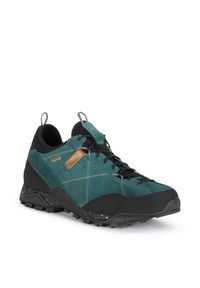 Buty trekkingowe damskie Aku Nativa GTX. Kolor: niebieski. Materiał: skóra. Szerokość cholewki: normalna