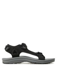 Jack Wolfskin Sandały Wave Breaker M 4052011 Czarny. Kolor: czarny. Materiał: materiał #1
