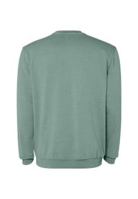 ROLY - Bluza Unisex Dla Dorosłych Jaya Z Okrągłym Dekoltem. Kolor: zielony
