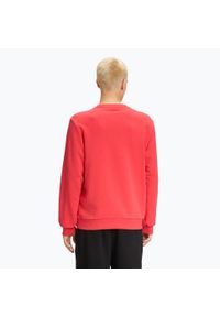 Fila - Bluza męska FILA Brustem Crew Sweat. Kolor: pomarańczowy