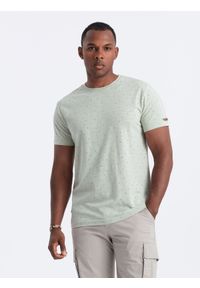 Ombre Clothing - T-shirt męski fullprint z kolorowymi literami - jasnozielony V5. Okazja: na co dzień. Kolor: zielony. Materiał: prążkowany, dzianina, zamsz, żakard, poliester, materiał, bawełna. Wzór: kolorowy. Styl: klasyczny, casual #5