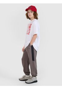 4f - 4F Spodnie dresowe joggery chłopięce - szare 122 (6-7 lat). Okazja: na co dzień. Kolor: szary. Materiał: dresówka. Wzór: gładki, ze splotem. Sezon: lato. Styl: sportowy, casual
