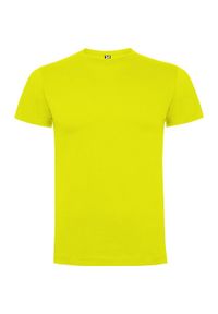 ROLY - Bawełniana Koszulka Dziecięca Dogo. Kolor: szary. Materiał: bawełna. Sport: turystyka piesza #1