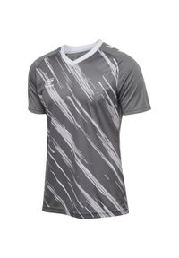Koszulka Hummel Triumph. Kolor: szary. Sport: piłka nożna #1