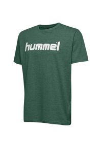 Hummel Go Cotton Logo T-Shirt S/S. Kolor: zielony, wielokolorowy, biały