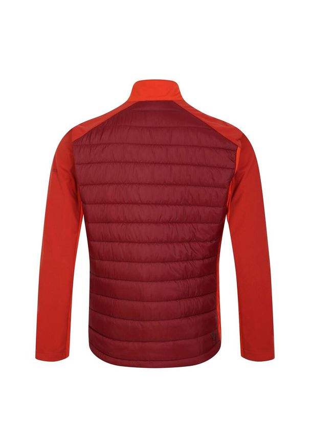 DARE 2B - Męska Kurtka Hybrydowa Mountaineer. Kolor: czerwony. Materiał: puch. Sport: turystyka piesza