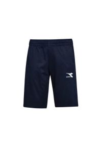 Spodenki męskie Diadora Bermuda Core. Kolor: niebieski #1